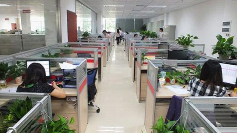 成功案例并非偶然，它们通常具备以下要素：